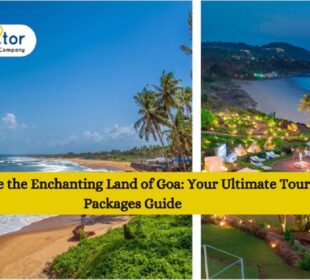 Explore the Enchanting Land of Goa