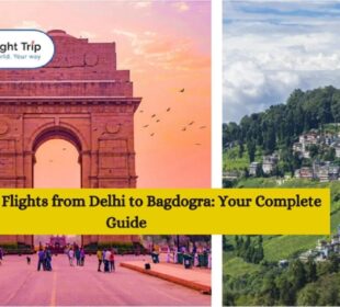 Flights from Delhi to Bagdogra