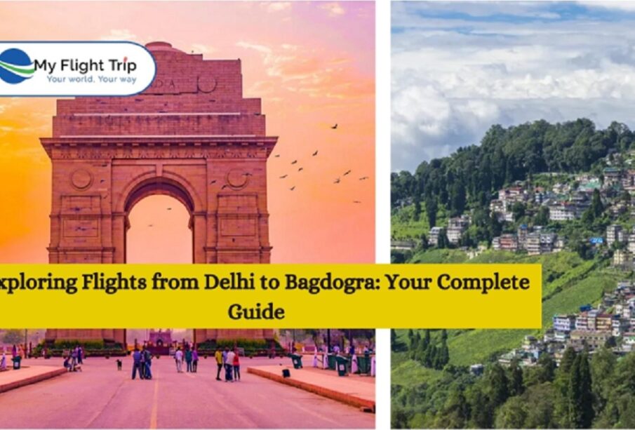 Flights from Delhi to Bagdogra